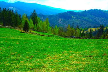 Orman ve dağlar, dik yamaç, geçimlik tarım