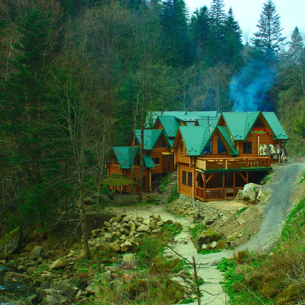 Orman ve dağlar, turizm kompleksi, ahşap binalar