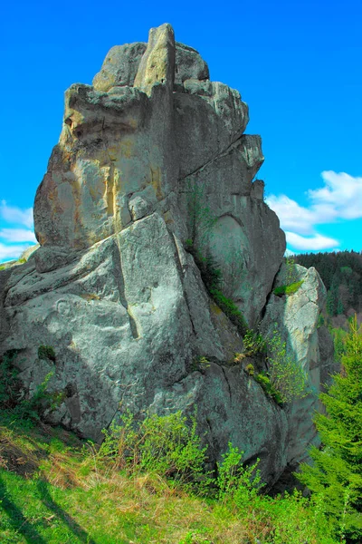 Скеля Лісі Химерної Форми Фоні Неба Крупним Планом — стокове фото