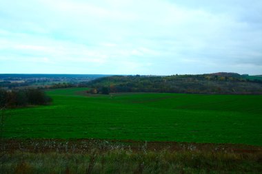 tepeler ve alanları, yaprak döken ağaçlar ve çam ağaçları