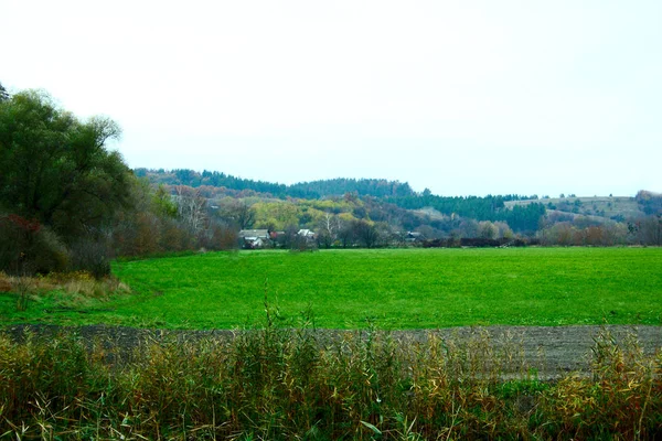 Gröna Fält Framför Byn Våtmark — Stockfoto