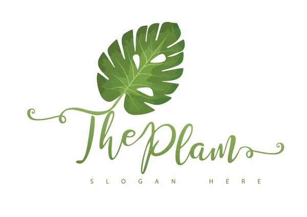 Tropikal Yaprak Logo tasarımı