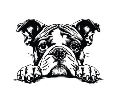 Siyah ve Beyaz Biçimli Şirin Köpek Çizimi