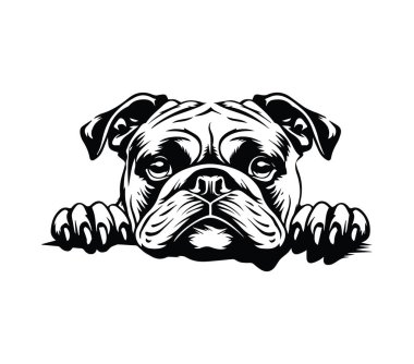 Tapılası Bulldog Baş İllüstrasyonu Siyah ve Beyaz Tasarım