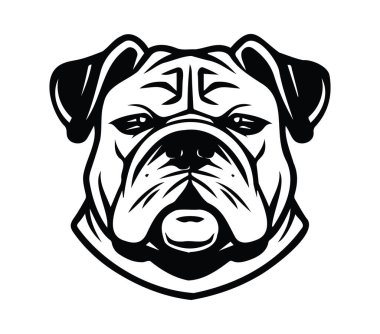 Belirgin İfade ve Özelliklere sahip Cesur Bulldog Kafası