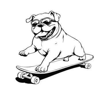 Güneş gözlüklü, kaykaylı, eğlenceli köpek pateni.