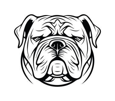 Siyah ve Beyaz Biçimli Bir Bulldog 'un Ayrıntılı Resimleri