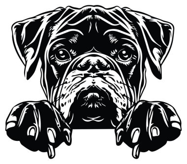 Siyah ve Beyaz Biçimli Şirin Köpek Yüzlü Görüntü