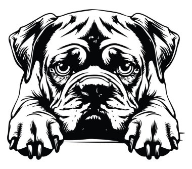 Hüzünlü İfadesi Olan Bir Köpeğin Siyah ve Beyaz Çizimi