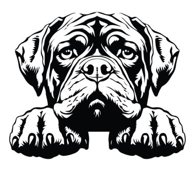 Siyah ve Beyaz Biçim Tasarımı Ayrıntılı Köpek Resimleri