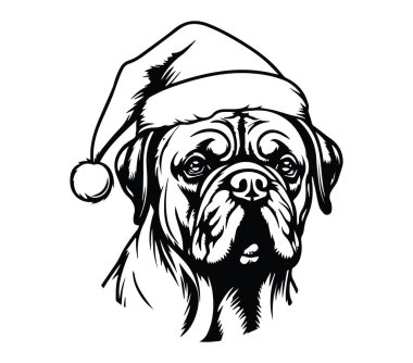 Tatil için Noel Baba Şapkası Giyen Kutlama Köpeği