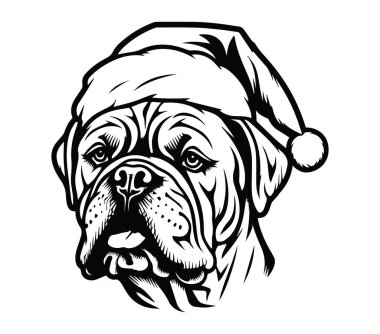 Buldog Noel Baba Şapkası Giyiyor Tatil Kutlaması için