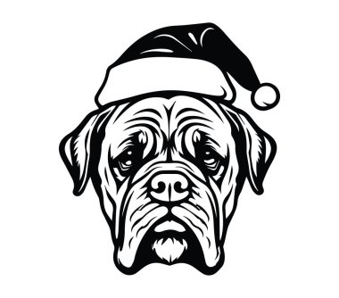 Bayram kutlamaları için Noel Baba Şapkası giyen sevimli Bulldog.