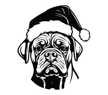 Bayram Tezahüratı İçin Noel Baba Şapkası Giyen Kutlama Köpeği