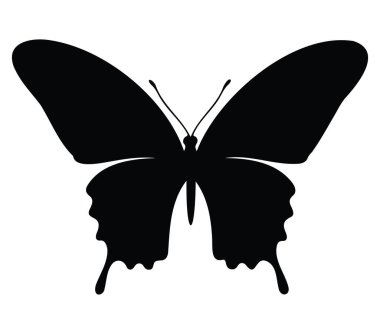 Eşsiz Tasarım Elementleriyle Bir Kelebeğin Zarif Silueti