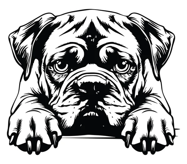 Hüzünlü İfadesi Olan Bir Köpeğin Siyah ve Beyaz Çizimi