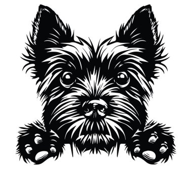 Ayrıntılı Siyah-Beyaz Köpek Yüzü