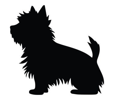 Pofuduk Kürklü Küçük Bir Köpeğin Silueti