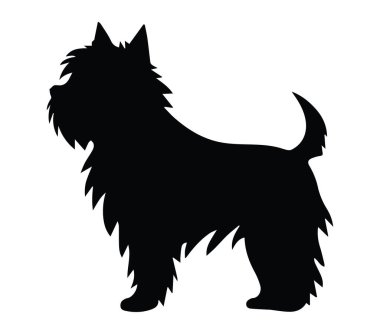 Yumuşak Kürklü ve Kuyruklu Küçük Köpeğin Silueti