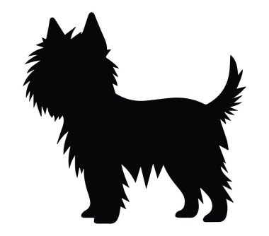 Pofuduk Kürklü Küçük Bir Köpeğin Silueti