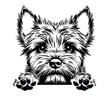 Seçkin Özellikleri olan Şirin Biçimli Köpek Çizimi