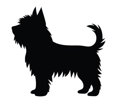 Pofuduk Kürklü ve Uyanık Kulaklı Küçük Köpek Silueti