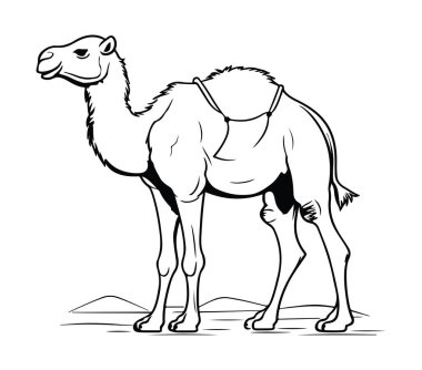 Siyah ve Beyaz Tarzlı Çölde Duran Deve