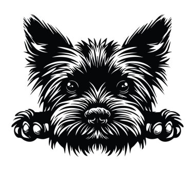 Siyah ve Beyaz Grafik Sanatında Şirin Yorkie Köpek Suratı