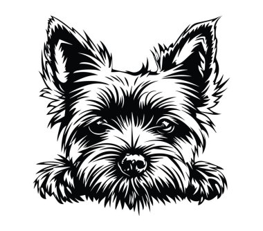 Siyah ve Beyaz Biçimli Şirin Yorkshire Teriyer İllüstrasyonu