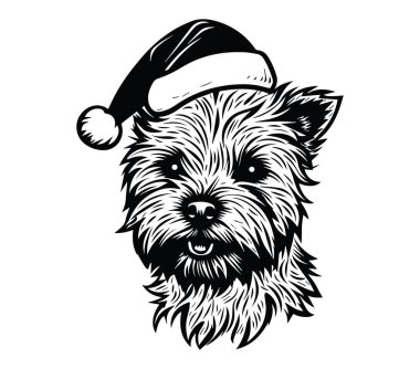 Neşeli İfadesiyle Noel Baba Şapkası Giyen Neşeli Köpek