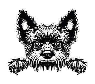 Yorkie Köpek Başı Sanat ve Dekorasyon Grafik Tasarımı