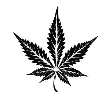 Kenevir Yaprağının Siyah Silüeti
