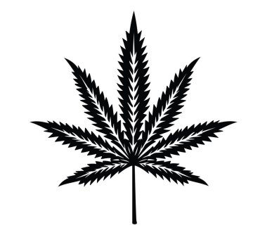 Esrar Yaprağının Siyah Silueti