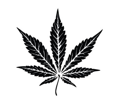 Esrar Yaprağının Siyah Silueti