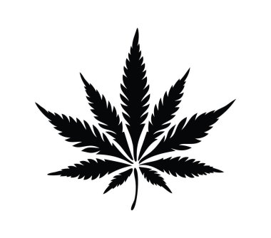 Kenevir Yaprağının Siyah Silüeti