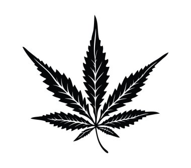 Ayrıntılı Kenevir Yaprağının Siyah Silüeti