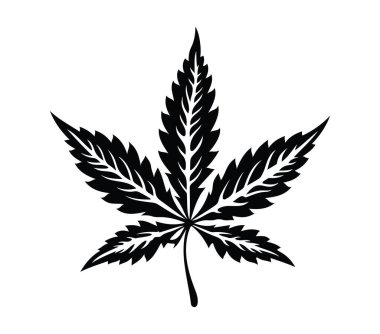 Yaprağın Siyah Silüeti İzole Edildi