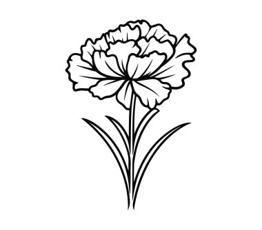 Ayrıntılı Yaprakları ve Yaprakları Olan Tek Bir Çiçeğin Zarif Özeti