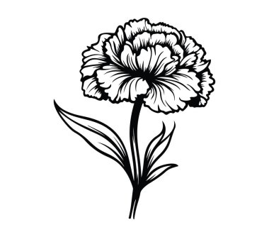 Siyah ve Beyaz Karanfil Çiçek Tasarımı