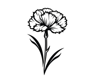 Siyah ve Beyaz Karanfil Çiçek Tasarımı