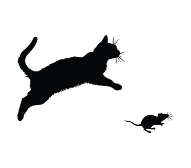 Dinamik Eylem Duruşunda Fare Avlayan Kedi Silueti