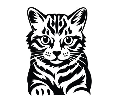 Minimalist Tarzında Siyah ve Beyaz Kedi Portresi