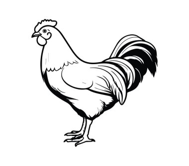 Profil Görünümündeki Bir Horozun Ayrıntılı Çizgi Sanatı İllüstrasyonu
