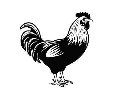 Kırsal Tasarımlar için Siyah ve Beyaz Horoz İllüstrasyonu