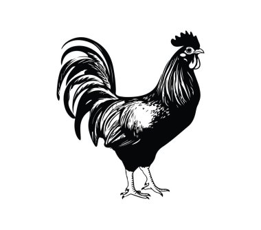 Ayrıntılı Tüylü Bir Horozun Zarif Siyah Silueti Tasarımı