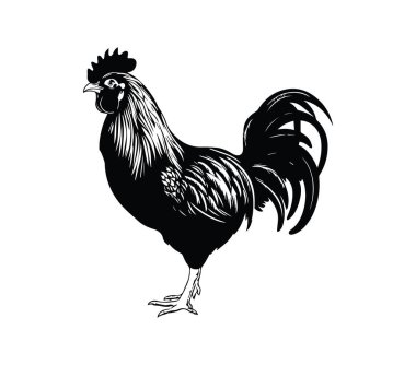 Ayrıntılı Tüylü Bir Horozun Siyah ve Beyaz İllüstrasyonu