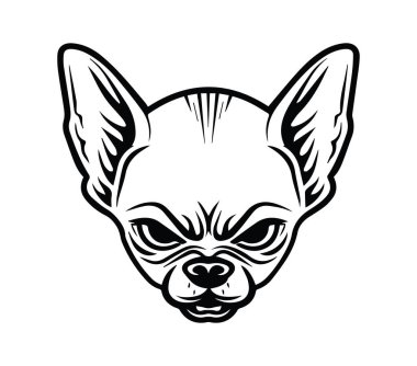 Kızgın Chihuahua Baş Fotoğrafı Siyah ve Beyaz Tarzı