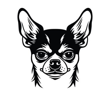 Kalın Tarzlı Bir Chihuahua Köpek Başı 'nın Siyah ve Beyaz Çizimi
