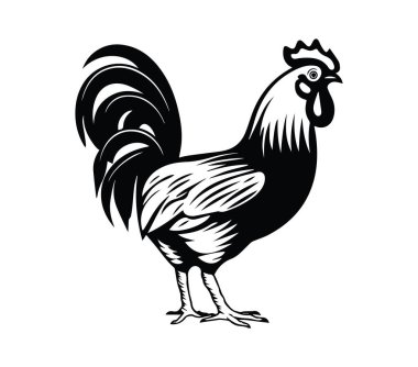 Siyah ve Beyaz Klasik Çiftlik Hayvanları için Horoz Tasarımı