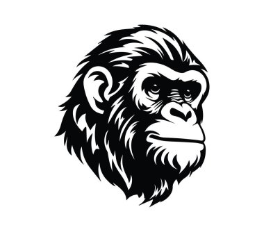 Düşünceli Maymun Yüzü Profili 'nin Siyah ve Beyaz Fotoğrafı